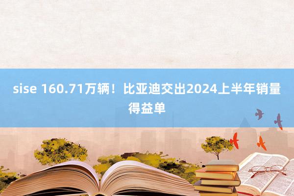 sise 160.71万辆！比亚迪交出2024上半年销量得益单