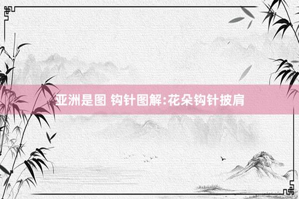 亚洲是图 钩针图解:花朵钩针披肩