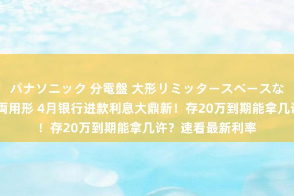 パナソニック 分電盤 大形リミッタースペースなし 露出・半埋込両用形 4月银行进款利息大鼎新！存20万到期能拿几许？速看最新利率