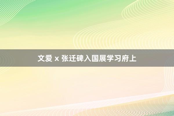 文爱 x 张迁碑入国展学习府上